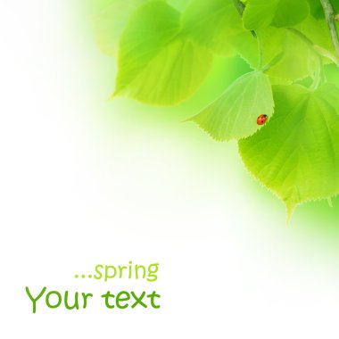 Spring Concept clipart