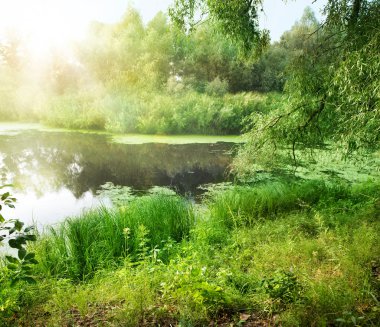 Summer Landscape With River clipart