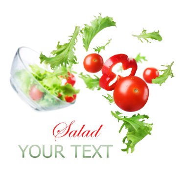 sağlıklı sebze salatası. diyet kavramı