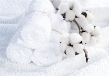 Cotton White Towels With Cotton Plant clipart