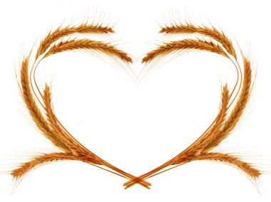 Wheat Frame clipart