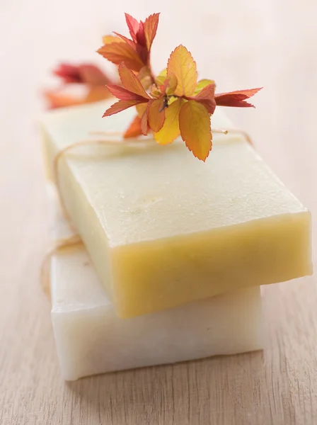 Staaf-van-natuurlijke handgemaakte zeep. Spa — Stockfoto