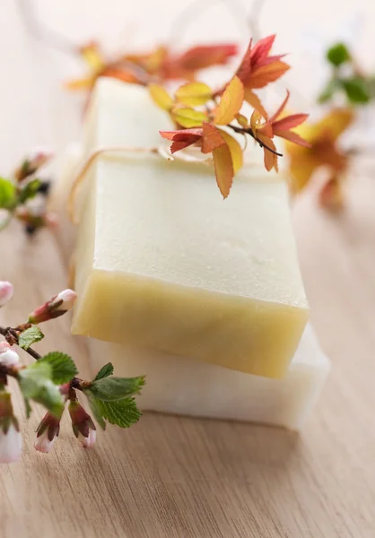Natural Handmade Soap — Stock Photo, Image