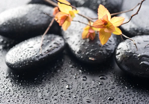 Zen molhado Spa Stones — Fotografia de Stock
