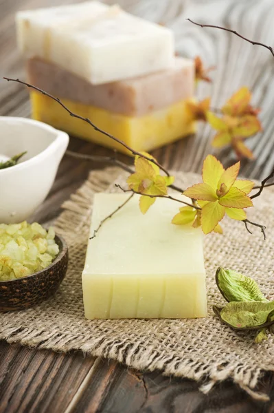 Handmade Soap And Natural Ingredients — Stock Photo, Image