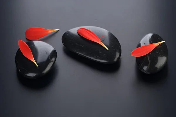 Zen spa stenar med röda kronblad — Stockfoto