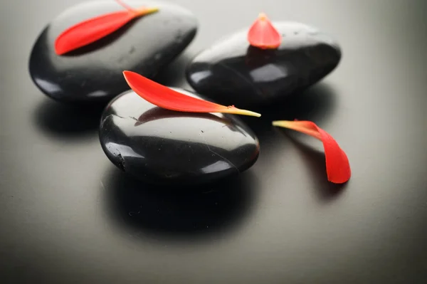 Σπα πέτρες με κόκκινα πέταλα — Φωτογραφία Αρχείου