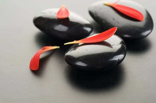 Σπα πέτρες με κόκκινα πέταλα — Φωτογραφία Αρχείου