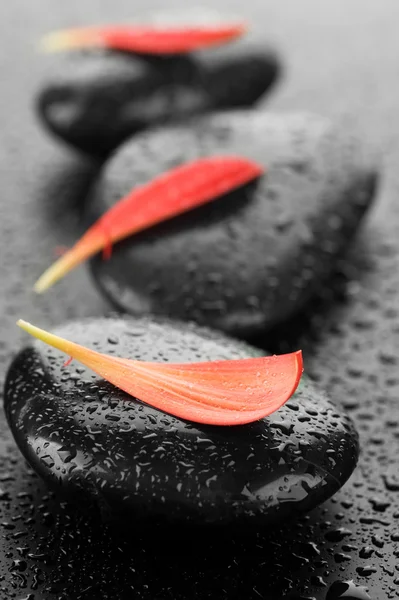 Zen spa ıslak taşlar — Stok fotoğraf