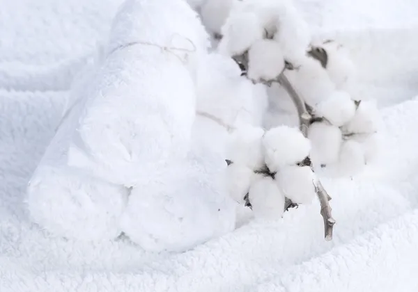 Serviettes blanches en coton avec usine de coton — Photo