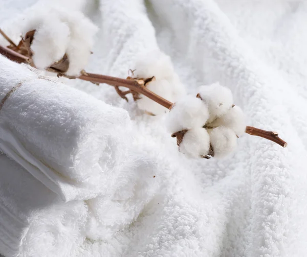 Хлопково-белые полотенца с хлопковым заводом — стоковое фото