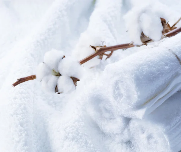 Weiße Baumwollhandtücher mit Baumwollpflanze — Stockfoto