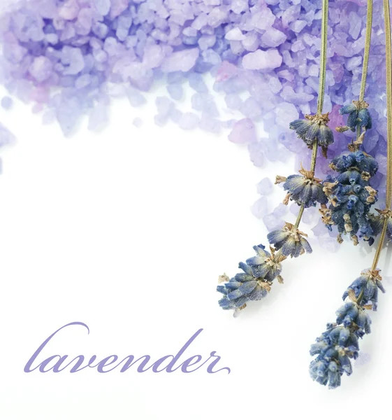 Lavender Spa Border. Isolated On White — Stock Photo, Image