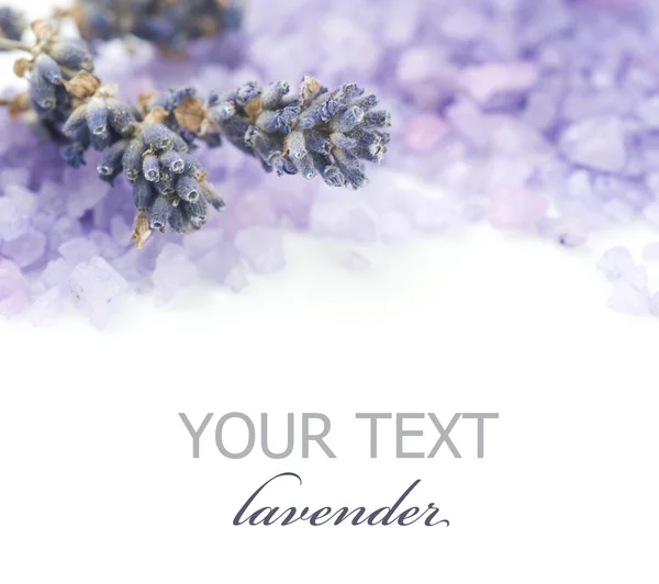 Lavender Spa Border. Isolated On White — Stock Photo, Image