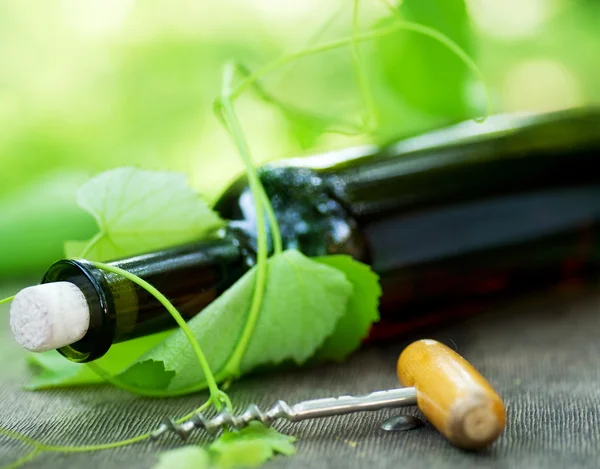 Flasche Wein und Traubenblätter — Stockfoto