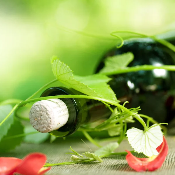 赤ワインとブドウの葉のボトル — ストック写真