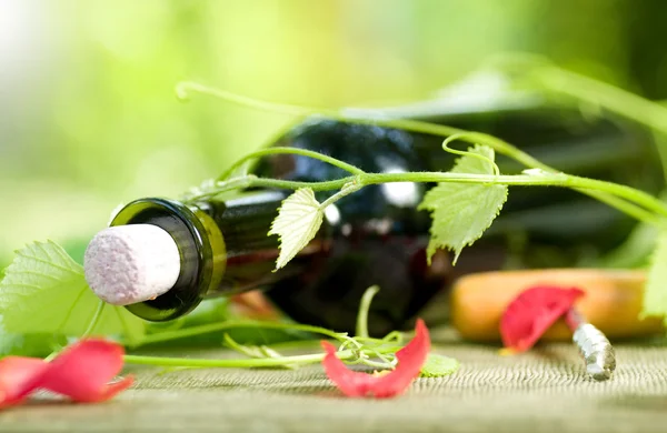 Láhev červeného vína a hroznové listy — Stock fotografie