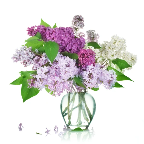 Belo grupo de lilás no vaso — Fotografia de Stock
