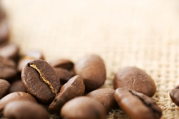 咖啡豆有选择的重点 — 图库照片