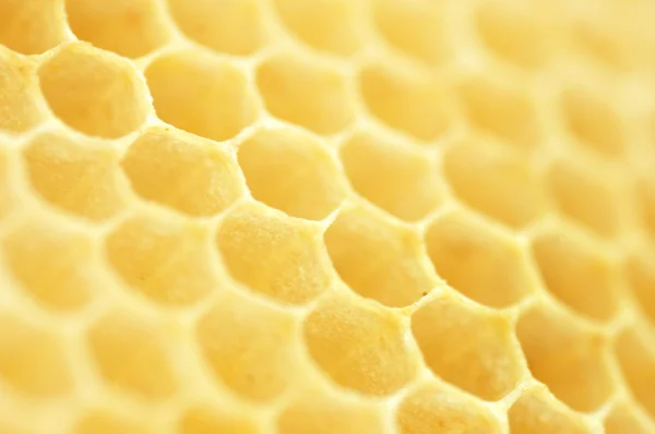 Panal de abeja. DOF poco profundo — Foto de Stock