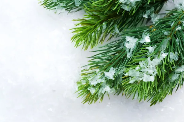 Julgran över snow.winter bakgrund — Stockfoto