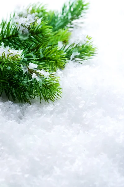 Árbol de Navidad sobre nieve. Fondo de invierno —  Fotos de Stock