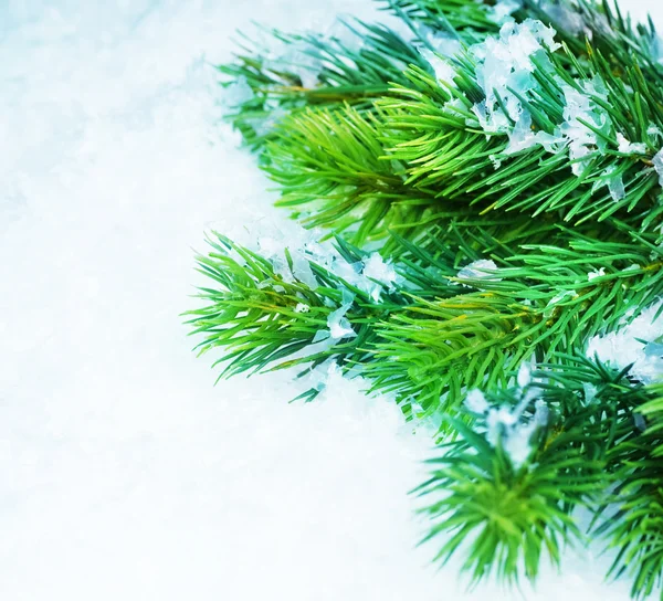 Árbol de Navidad sobre nieve. Fondo de invierno —  Fotos de Stock