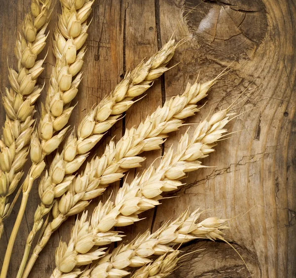 Orecchie di grano sul bosco. Contesto alimentare — Foto Stock