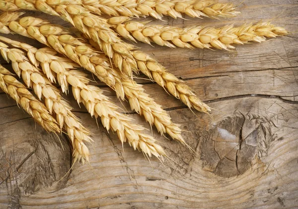 小麦耳朵上木。食品背景 — Φωτογραφία Αρχείου
