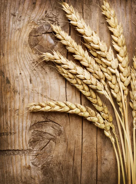 小麦の穂、木の上。食品の背景 — ストック写真