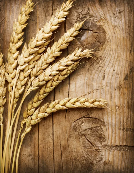 Pšenice uši na dřevo. potraviny pozadí — Stock fotografie