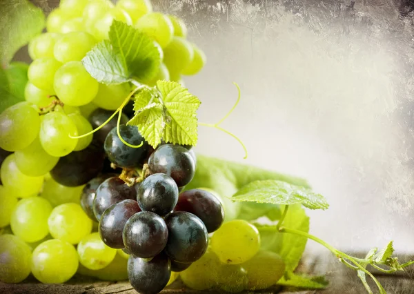 Un mucchio di uva. Stile vintage. Con Copia-spazio — Foto Stock