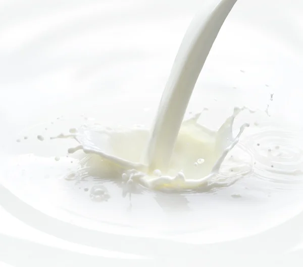 Versement du lait — Photo