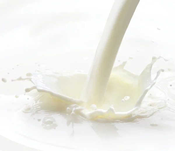 Versement du lait — Photo