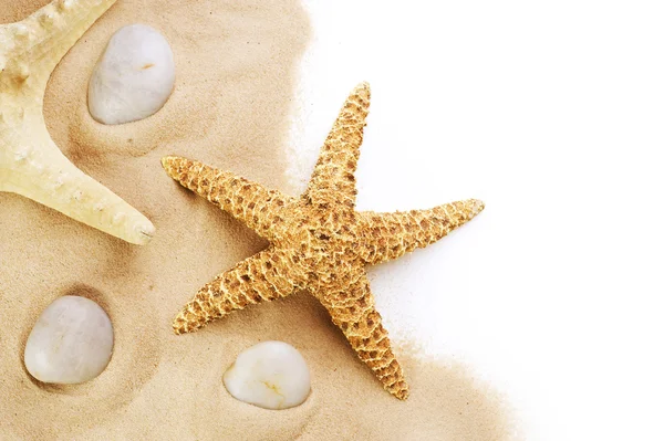 모래에 불가사리 테두리 디자인. 백색에 절연 되어 있습니다. 휴가 — 스톡 사진