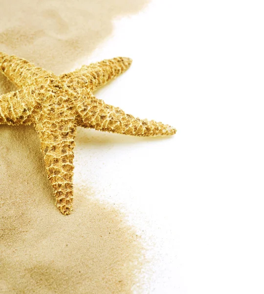 Starfish on the sand isolated on white — Stock Photo, Image