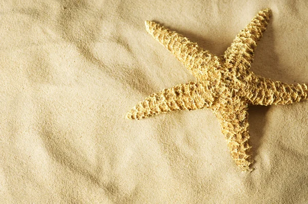 Estrella de mar en la arena. Concepto de vacaciones — Foto de Stock