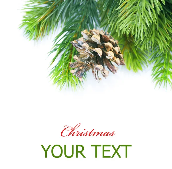 Jul fir tree gränsen över vita — Stockfoto
