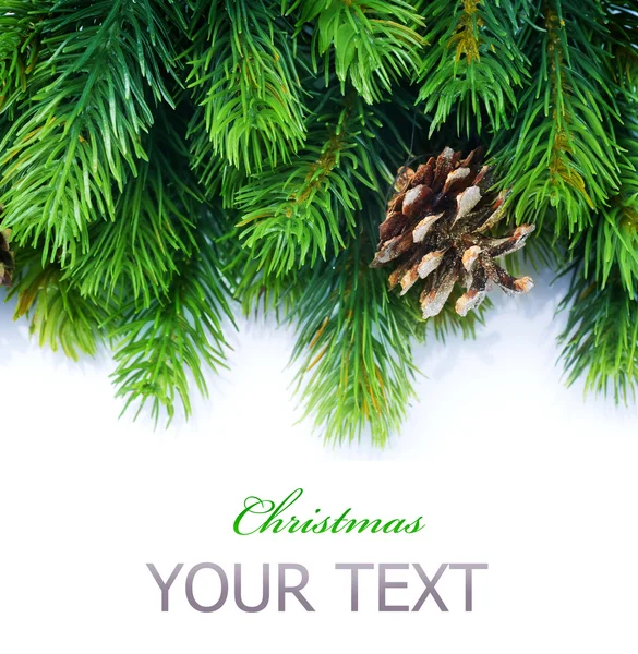 Frontiera dell'albero di abete di Natale — Foto Stock