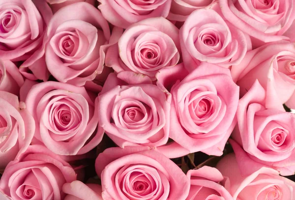 Bouquet de grandes roses — Photo