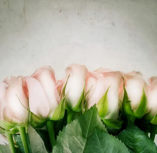 Hermosas rosas. Estilo Vintage —  Fotos de Stock