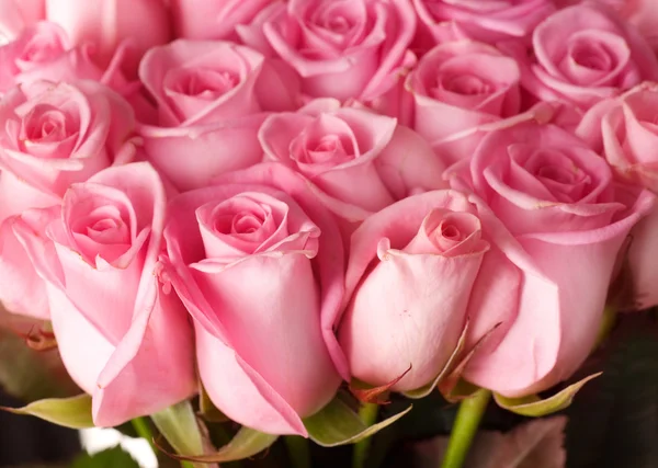 Buquê de rosas grandes — Fotografia de Stock