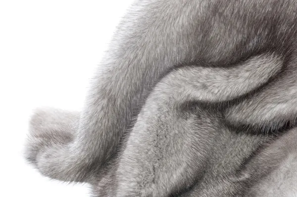 Mink Fur Over White — Stock Photo, Image