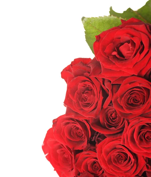 Velké růže kytice — Stock fotografie