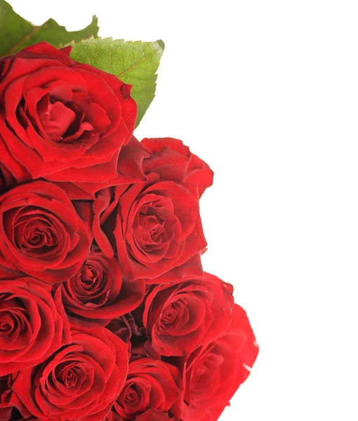 Μεγάλα κόκκινα τριαντάφυλλα μπουκέτο — Φωτογραφία Αρχείου