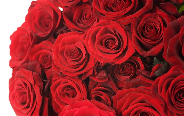 赤いバラの花束のクローズ アップ。白で隔離されます。 — ストック写真
