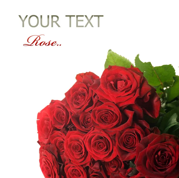 Bouquet de grandes roses rouges — Photo