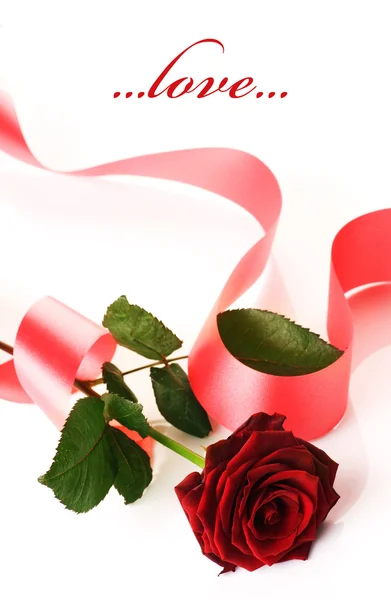 Červená růže a stuha — Stock fotografie
