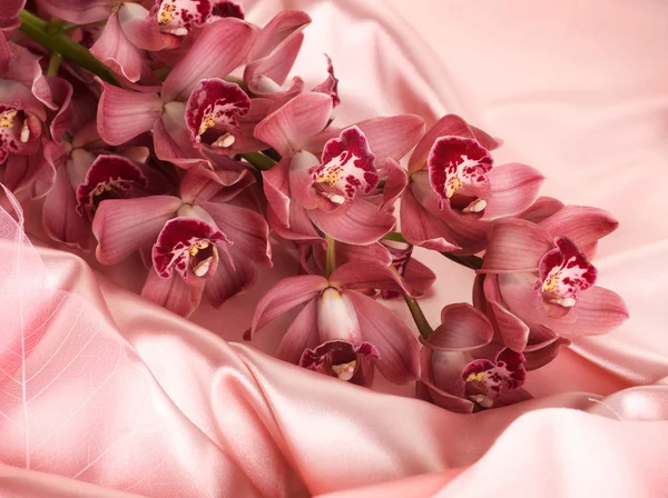 Seda e orquídeas — Fotografia de Stock