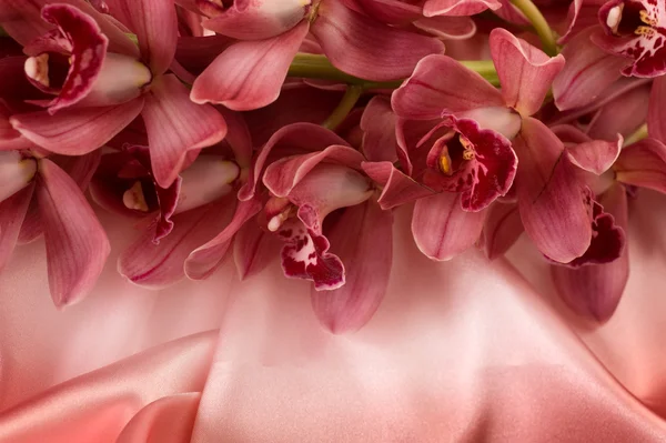 Orchideen auf einem seidenen Hintergrund — Stockfoto